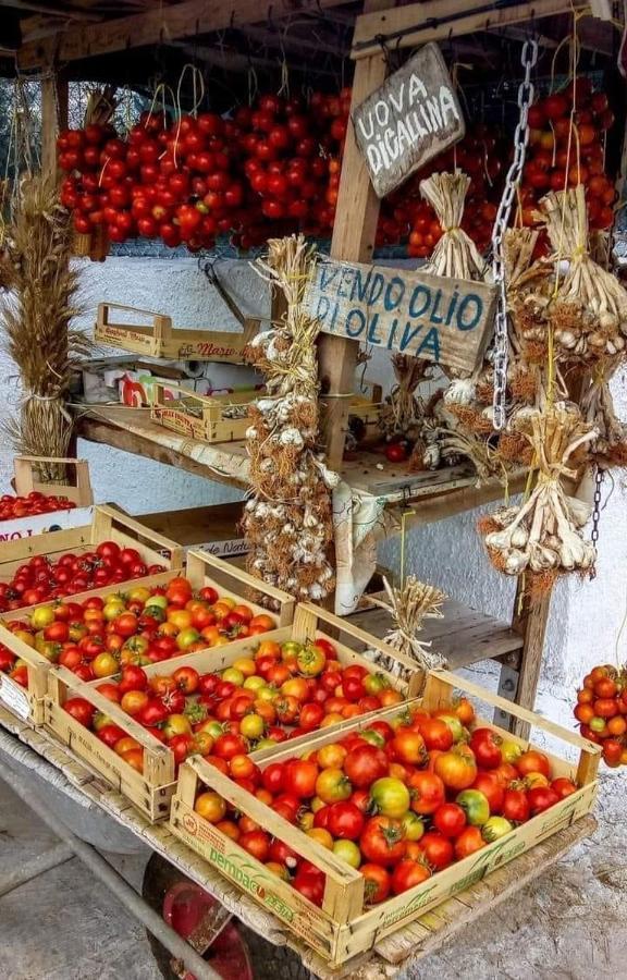 B&B La Strea Porto Cesareo Eksteriør billede