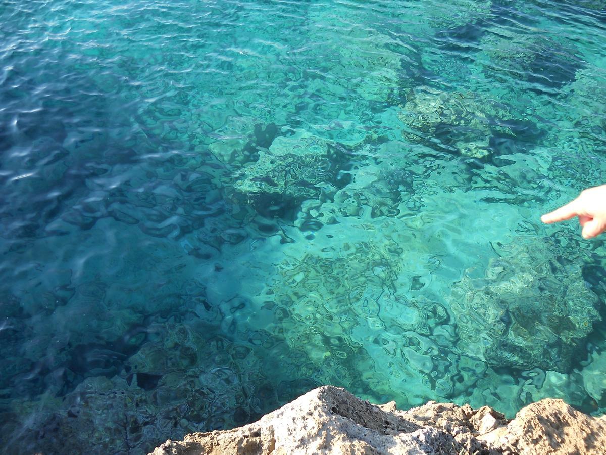 B&B La Strea Porto Cesareo Eksteriør billede